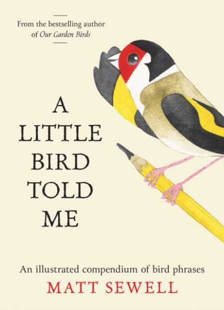 A Little Bird Told Me : An Illustrated Compendium of Bird Phrases